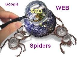 Search Engine Optimization